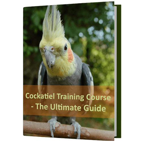 FreeBook-Cockatiel