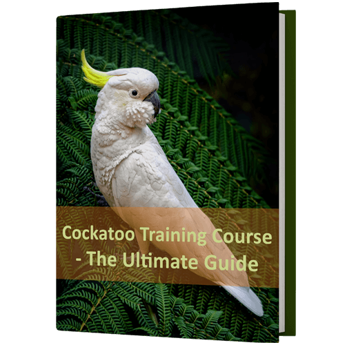 FreeBook-Cockatoo