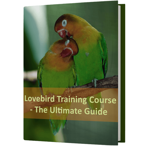 FreeBook-Lovebird