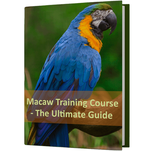 FreeBook-Macaw