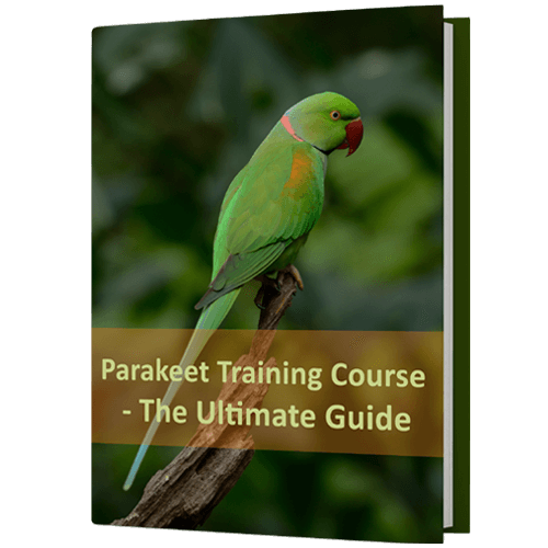 FreeBook-Parakeet