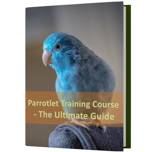 FreeBook-Parrotlet